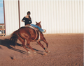 'The Balance of a Rider' by Sarah Jane Huey